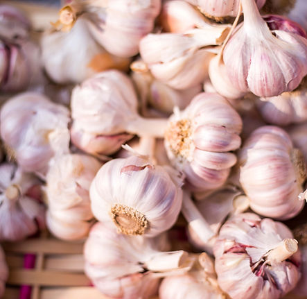 vendordirectory_grocery