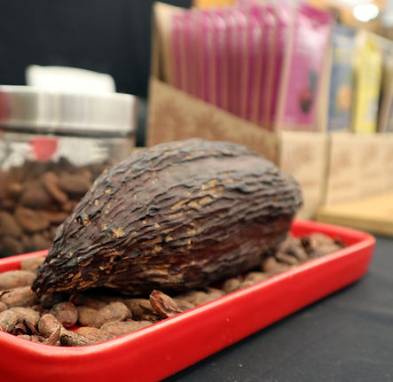 vendordirectory_grocery