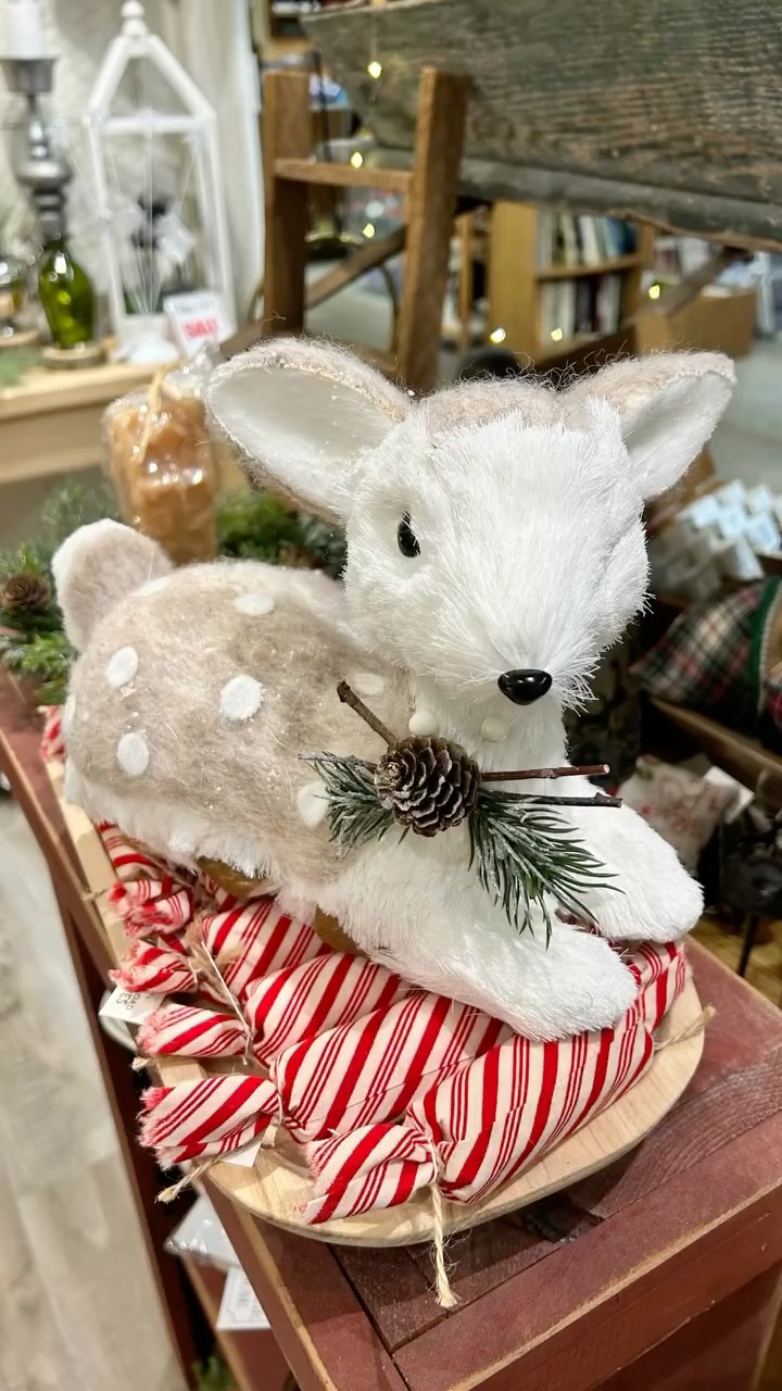 Close out November and our Black Friday Sale with a little vintage magic ✨ From fun collectibles to seasonal curios, there’s something for every curious visitor!

#stjacobsmarket #vintagevibes #retro #antiquemarket #nostalgia #shoplocalontario #blackfridaysale