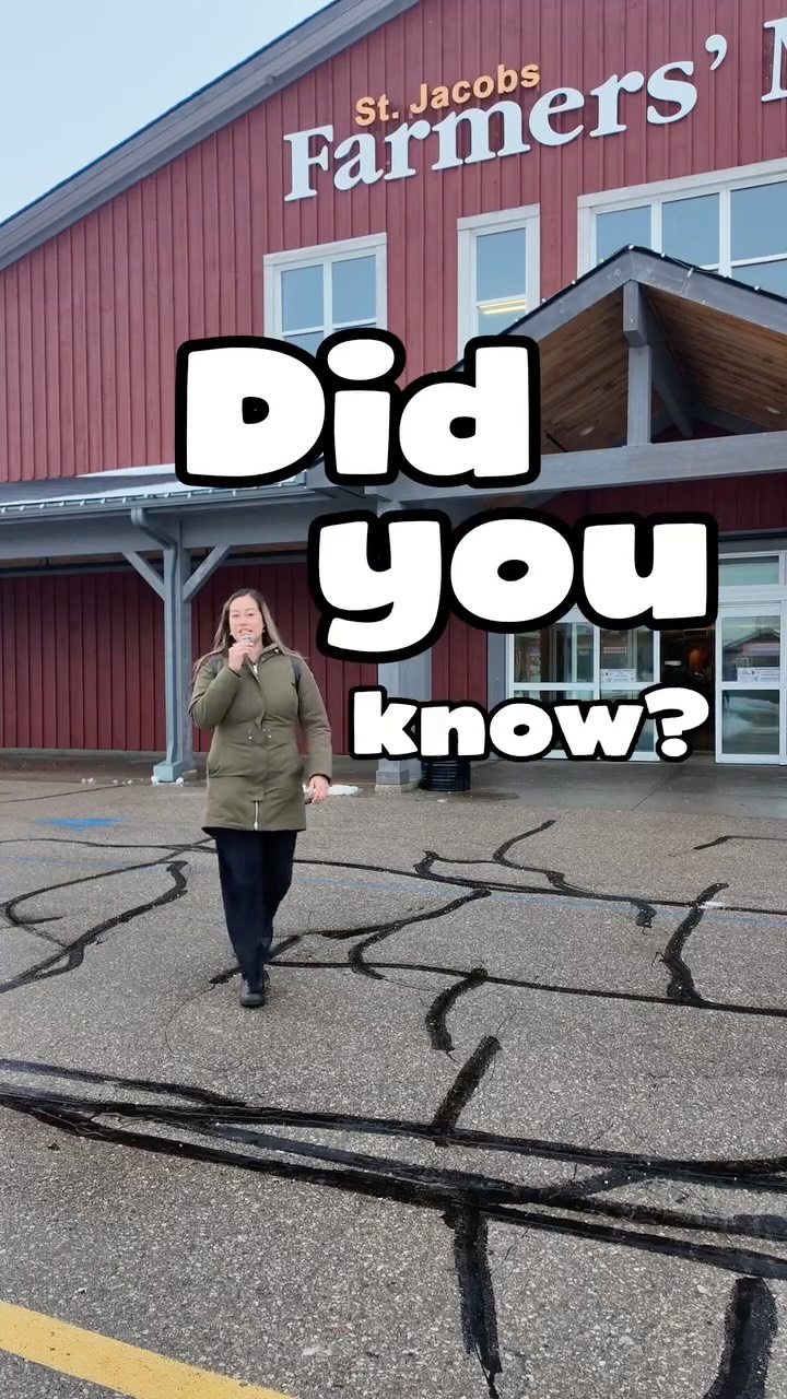 Open year-round! A January day at the market is filled with local produce, seafood, meats, delicious food and vendors around every corner... but this is only a glimpse!
Not only are we open year-round, we are open Thursdays AND Saturdays. Check everything off your list and more.
Thursday - 8:00am - 3:00pm
Saturday- 7:00am - 3:30pm