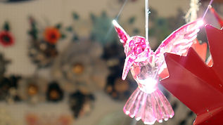 Angela's Secret Garden