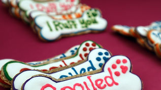 Fido and Fifi Dog Bakery