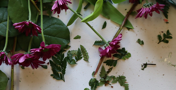Purple daisies laying on there side on a white table with greenery. 