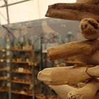 Driftwood art pieces displayed in Driftwood Studios Booth