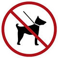 No Dogs Symbol 
