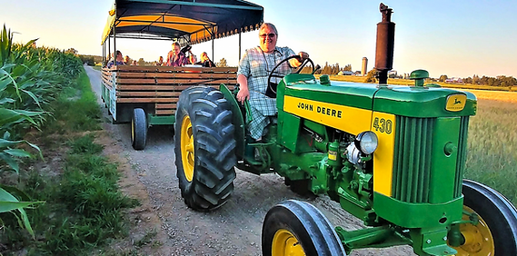 A woman driving a tractor taking guests on a tour of the countryside with Elmira Wagon Rides starting at St. Jacobs Farmers Market 