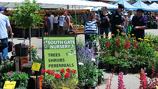 South Gate Nursery