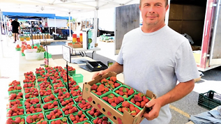 Voisin's Family Farm